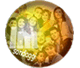 sondaggio
